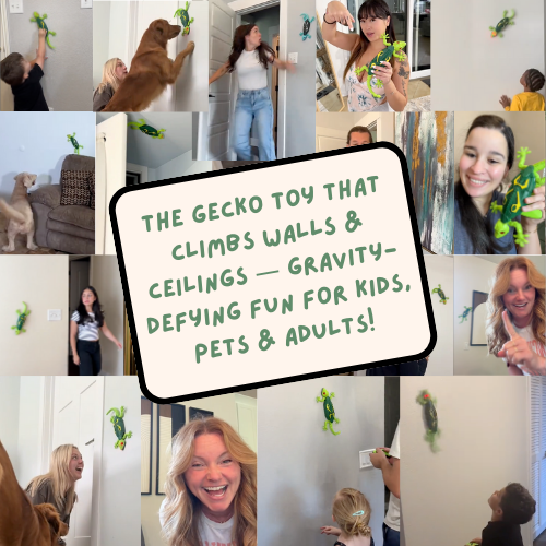 Go-Go Gecko Wall Climber